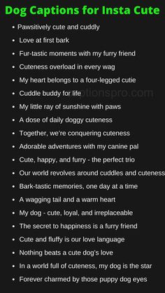 Dog Captions for Insta Cute Instagram Bio Ideas For Pets, Quote For Dogs Instagram, I Love My Dog Quotes Funny, About Dogs Quotes, Caption For Pic With Dog, Cute And Funny Captions, Paw Captions Instagram, Insta Caption For Pic With Dog, Caption On Dogs For Instagram