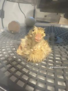 a small yellow duck sitting on top of a metal table