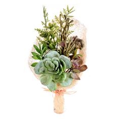 a bouquet of succulents and greenery on a white background