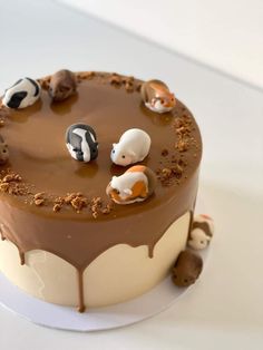 a cake with chocolate frosting and small animals on top