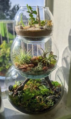 three tiered glass vases filled with plants on top of a window sill