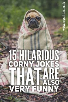 a pug wrapped in a blanket sitting on top of a forest floor with the words, 15 hilarious corry jokes that are very funny