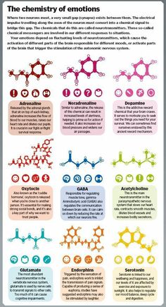 an info sheet with different types of emotions