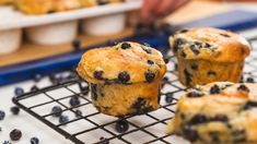 blueberry muffins cooling on a wire rack next to other muffins