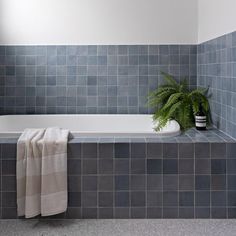 a bath tub sitting next to a plant in a bathroom