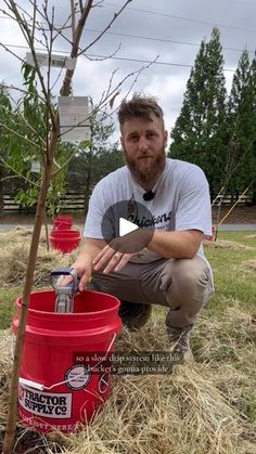 a man kneeling down next to a red bucket with a tree in it on top of dry grass