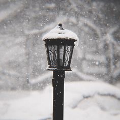 a street light covered in snow next to trees