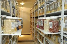 shelves filled with lots of different types of food in bins and containers on them