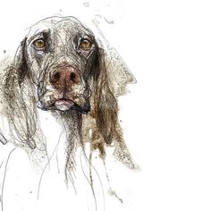 a drawing of a dog with brown eyes