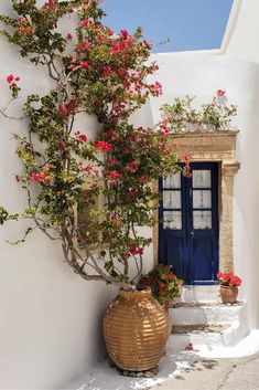 a white building with blue door and red flowers growing on the outside wall next to it