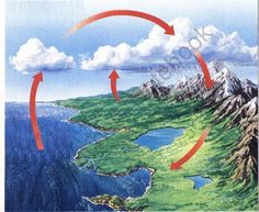 the water cycle is depicted in this diagram