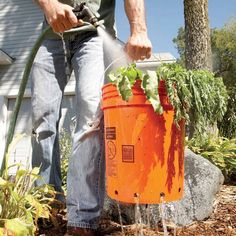 a man is watering his garden with a water hose and an orange bucket on the ground