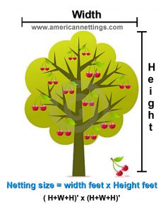 a tree with apples on it and the height