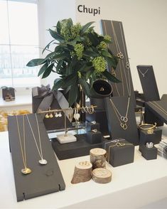 a table with jewelry on it and a potted plant in the middle, surrounded by other items