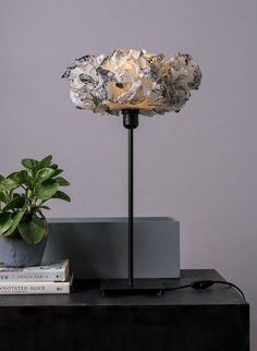 a plant is sitting on a table next to a lamp and some other things in front of it