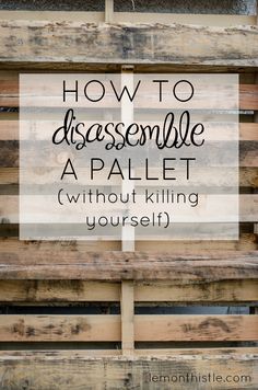 How to disassemble a pallet without killing yourself! SO Helpful! Painting Pallet Wood, Pallet Ideas For Outside, Diy Pallets, Sweet House, Reclaimed Pallets, Pallet Boards, Pallet Project, Cabin House, Pallet Creations