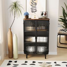 a black cabinet sitting next to a plant and a vase on top of a rug