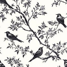 black and white birds are sitting on the branches of a tree with flowers in it