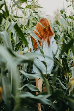 a woman walking through the middle of a corn field