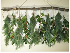 some green leaves and red berries are hanging from a twig on a branch that is attached to a wall