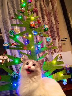 a cat sitting in front of a christmas tree