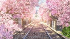 the train tracks are lined with pink flowers on each side, and there is no image here to provide a caption for