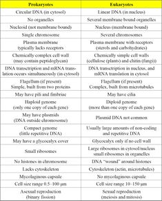 two tables with the names of different types of substances and their functions in each one