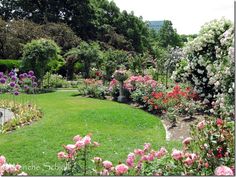 the garden is full of colorful flowers and trees