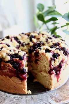 a cake with blueberries and crumbs is on a platter next to a potted plant