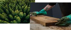 two pictures with hands in green gloves on a piece of wood next to a pine tree