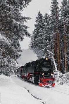 a train traveling through a snow covered forest next to tall pine trees on a snowy day