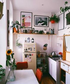 a kitchen filled with lots of potted plants next to a white refrigerator freezer