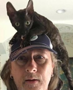 a man wearing a hat with a cat on top of his head in the air