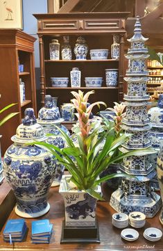 an assortment of blue and white vases with plants in them on display at a store