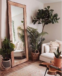 a living room with a couch, mirror and potted plant