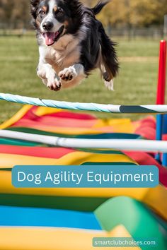 a dog jumping over an obstacle course with the words dog agility equipment above it