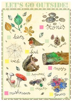 a poster with different types of leaves, mushrooms and other things to write on it