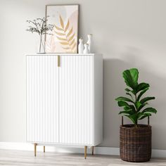 a white cabinet next to a potted plant