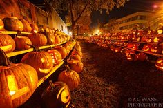 many pumpkins are lit up in rows on the side of a road at night