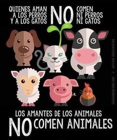 Vegetarian Quotes, Vegan Facts, Vegan Memes, Vegetarian Lifestyle, Animal Activism, Vegan Quotes, Why Vegan, Vegan Inspiration, Stop Animal Cruelty