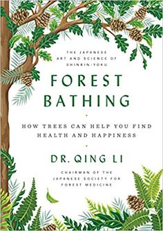 forest bathing how trees can help you find health and happiness