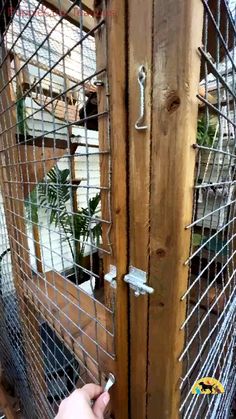 a person is holding a pen in front of a caged door that has plants inside