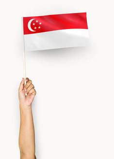 a hand holding a flag on a white background