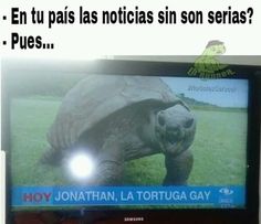 a television screen with an image of a tortoise on it and the caption says, en tu pas las noticias sin son seres?