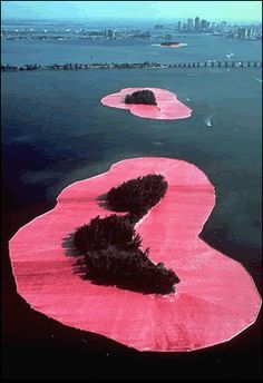 an aerial view of pink floating land in the ocean