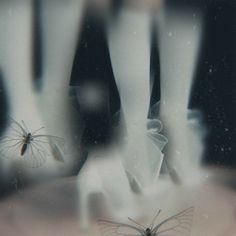 two butterflies sitting on top of each other in front of a glass window with the reflection of them