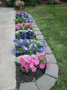 some flowers are growing in a flower bed