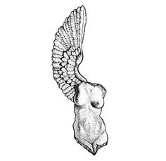 a drawing of an owl with its wings spread