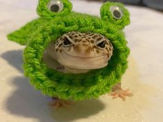 a small green frog with big eyes sitting on top of a table