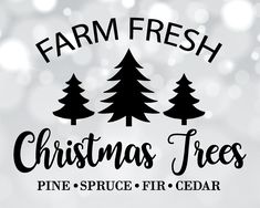 farm fresh christmas trees pine, spruce, fir and cedar decal on a white background